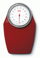 Seca 760 Scale