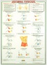 Dumbell Charts Abdominals