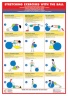 Gym Ball Exercises Stretching Chart