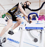 Monark