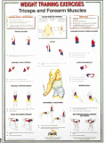 Chartex Set of 8 Dumbell Charts