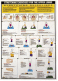 Chartex Set of 3 Stretch Chart