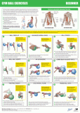 Gym Ball Chart Beginners