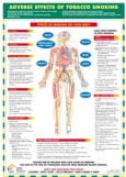 Adverse Effects of Tobacco Smoking 
