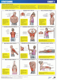 Stretch Chart 1