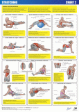 Stretch Chart 2