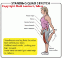 A Set of 3 stretch Charts 