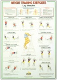 Dumbell Charts Legs