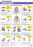 Resisitance Series - Abdominals