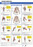 Resisitance Series - Arms
