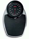 Seca 754 Scales