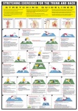 Stretch Chart Trunk and Back
