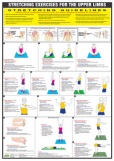 Stretch Chart Upper Limbs