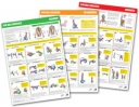 A Set of 3 Gym Ball Charts 