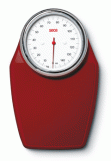 Seca 760 Scale