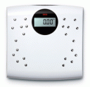 Seca 804 Digital Body !!!!Fat!!!! Floor Scale