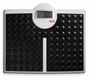 813 Wide Base Scale