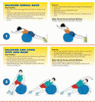 Gym Ball Exercises Gym Ball Exercises