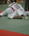 Judo / Martial Arts Mats