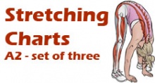 Stretch Chart Series Stretch Chart Series
