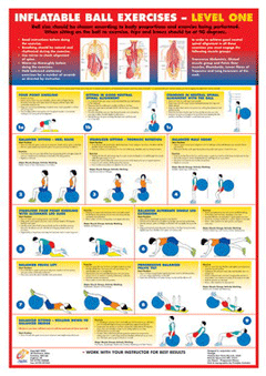 Chartex Gym Ball Exercises