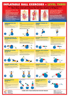 Gym Ball Exercises Chart 3