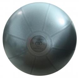 FitBall Pro<</strong> 500Kg (no pump)