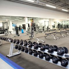 Gym Mats