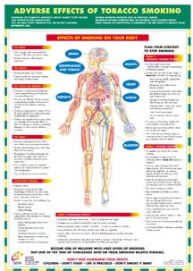 Adverse Effects of Tobacco Smoking