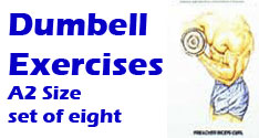 Dumbell Exercises
