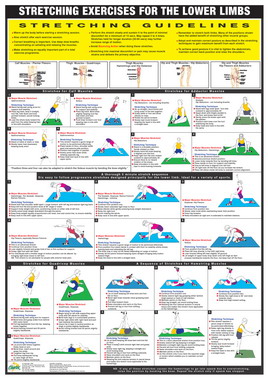 Stretch Chart Lower Limbs